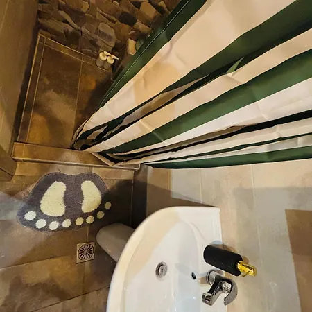 Downtown 31 アパート セレス