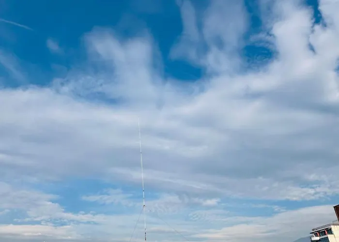 Downtown 31 * 塞雷